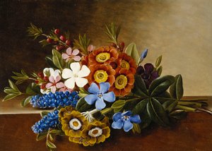 Periwinkle, Auricula og Grape Hyacinths on a Marble Ledge, 1882 af Johan Laurents Jensen