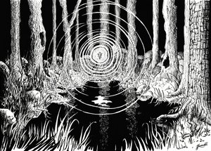 Mystiske skovbølger af Johan Liewendahl