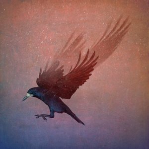 Bird Kingdom, 2018 (fotokunst) af Johan Lilja