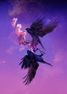 Bird Kingdom 5, 2018 (digital fotokunst)