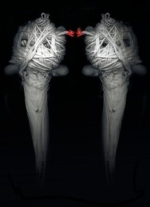 Brothers, 2013 (fotografi) af Johan Lilja