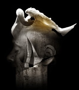 Swan, 2013 (fotografi) af Johan Lilja