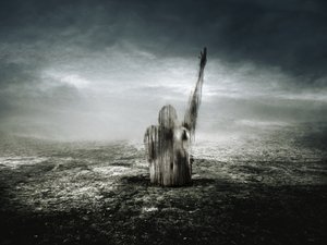 Den røde linje, 2013 (fotografi) af Johan Lilja