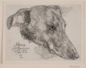 Danish: Hundehoved, Snip