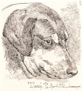 Danish: Hundehoved, Terry