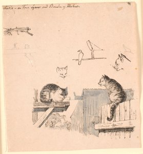 De to katte. F.o. studier af kattehoveder, en fugl, et katteøre og bjælke-værk. Illustration til Kaalunds "Fabler for Børn". Se kommentar fra arkkatalog. af Johan Thomas Lundbye
