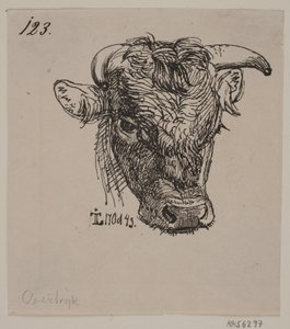 Hovedet af en ung tyr af Johan Thomas Lundbye
