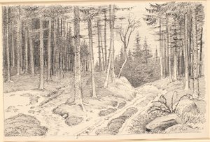 Hulvej gennem en granskov af Johan Thomas Lundbye
