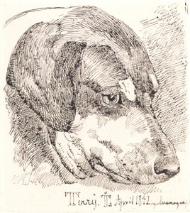 Hundehoved, Terry af Johan Thomas Lundbye