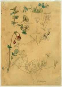 J. Th. Lundbye, Plantestudiet af Johan Thomas Lundbye