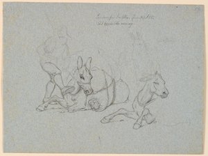 Liggende æsel, der piskes og sparkes af en fører. T.h. to studier af et liggende og et stående æsel af Johan Thomas Lundbye