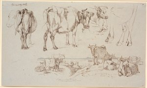 Studieblad fra Vognserup. Foroven studier af køer, f.n. land-skab med stående og liggende køer af Johan Thomas Lundbye