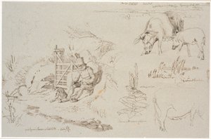 Studieblad fra Vognserup. T. v. en røgter (gamle Rasmus Larsen) siddende med en hund ved et led. F.o.t.h. et landskabsstudie med stedbetegnelser. Herunder to grise. T.h.m.f. studie af siv i en sø. Herunder en kongelysplante og studie af en so af Johan Thomas Lundbye
