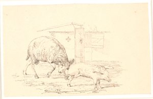 Vædderen og grisen. Illustration til Kaalunds "Fabler for Børn". Se kommentar fra arkkatalog. af Johan Thomas Lundbye