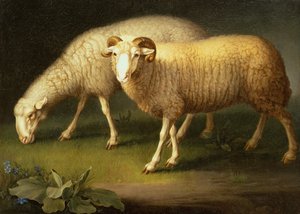 En vædder og får (olie på lærred)