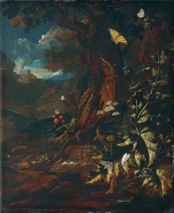 Landskab med krybdyr og insekter (I) af Johann Adalbert Angermayer