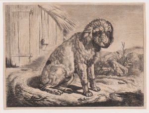 Siddende hund af Johann Adam Klein
