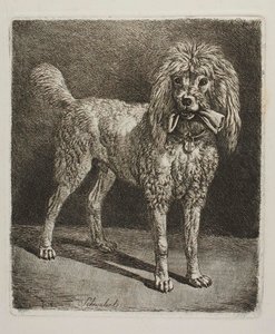  af Johann Adam Klein
