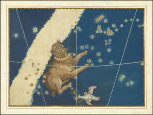 Canis Major - Johann Bayer af Johann Bayer