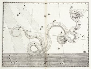Konstellation af slangehoved og slangehale, c.1603