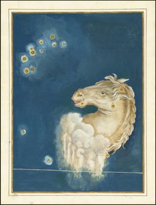 Equuleus - Johann Bayer af Johann Bayer