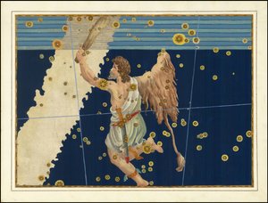 Johann Bayer, Orion