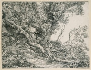 Træer på en klippeskråning af Johann Christian Reinhart