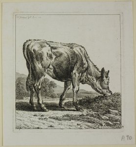 Kalvefodring, fra Die Zweite Thiernahme af Johann Christian Reinhart