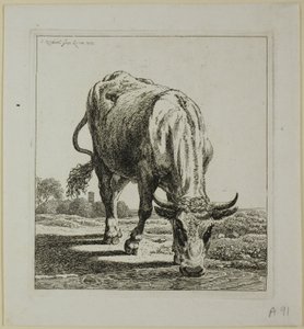 Cow Drinking, fra Die Zweite Thierfolge af Johann Christian Reinhart