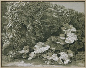 Storbladede planter ved en klippehule dækket af vedbend af Johann Christian Reinhart