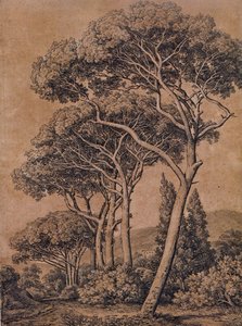 J C Reinhart Paraply-fyr 1791 af Johann Christian Reinhart