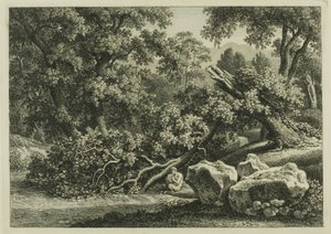 Landskab med panorering på fløjte af Johann Christian Reinhart