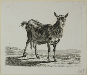 Stående ged, fra Die Zweite Thiernahme af Johann Christian Reinhart