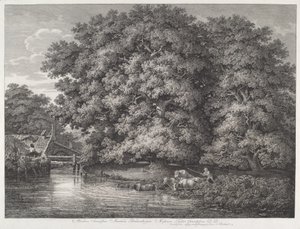 Møllen ved Great Oaks af Johann Christian Reinhart