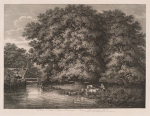Møllen ved Great Oaks af Johann Christian Reinhart