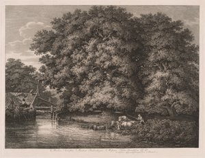 Møllen ved Great Oaks af Johann Christian Reinhart
