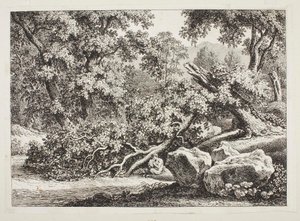 Skovscene med et knækket egetræ af Johann Christian Reinhart