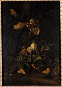 Blomster med sommerfugle og tudse (olie på egetræ) af Johann Christian Thomas Winck