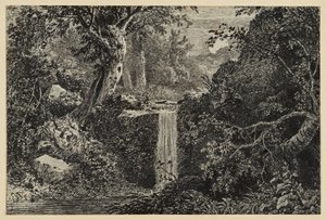 Vandfald i skoven af Johann Christoph Erhard