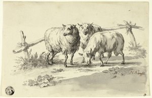 Får af Johann Christoph Kimpfel