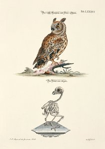  af Johann Daniel Meyer