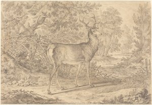  af Johann Elias Ridinger