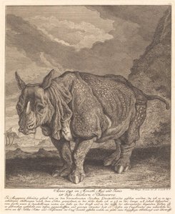 Næsehorn næsehorn af Johann Elias Ridinger
