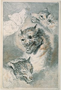 Fire ulvehoveder af Johann Elias Ridinger