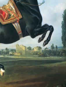 En sort hest, der udfører Courbette (detalje af 65652)
