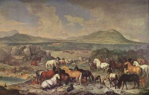 The Imperial Stud med Lipizzaner-heste