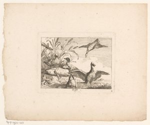 Landskab med seks ænder Fugle i landskaber (serietitel) af Johann Georg Hertel (I) (possibly)