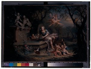 Narcissus reflekteret i en brønd af Johann Georg Platzer