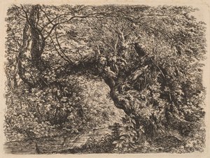 En gammel Pil ved en Strøm af Johann Georg von Dillis