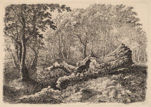 Støbende træstamme, 1794.